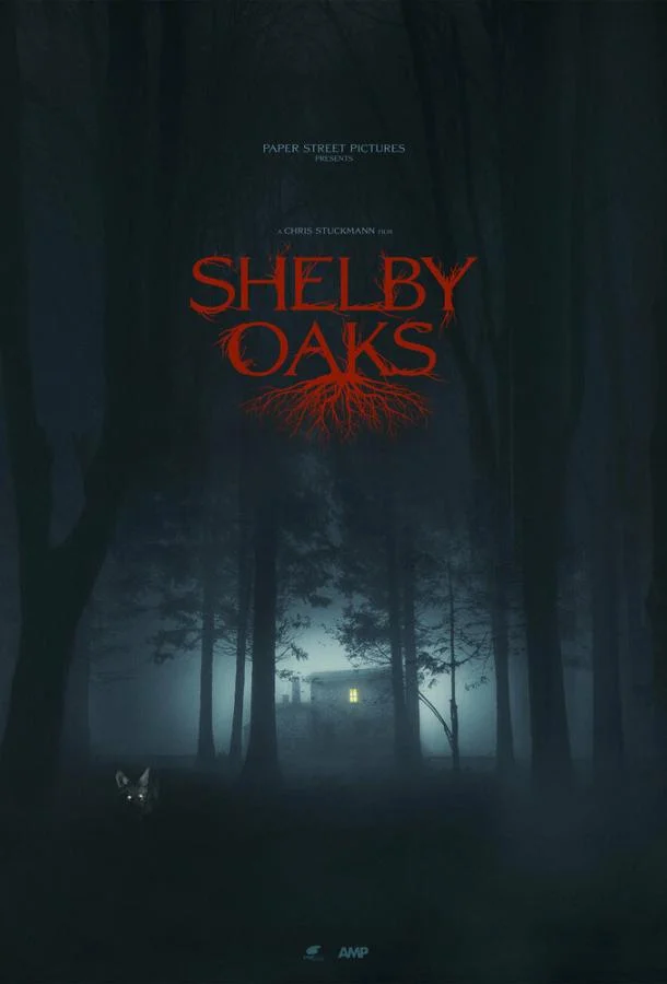 Фильм Шелби Оукс. Город-призрак 2024 смотреть онлайн бесплатно в хорошем качестве